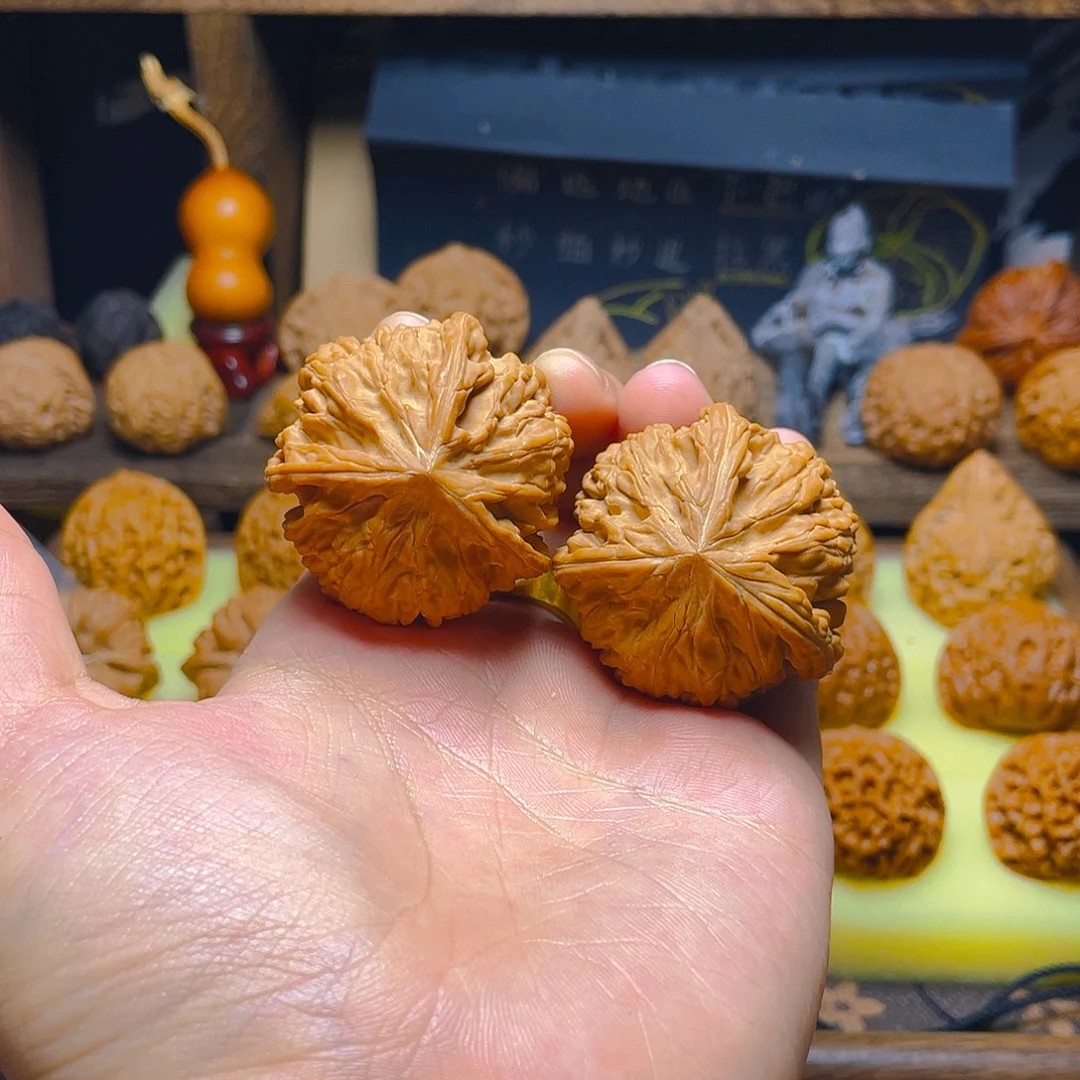 43全品矮壮球体玉龙粗筋