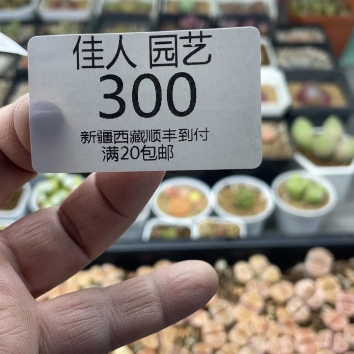 这****了哈比色are蓝色蓝色绿色300