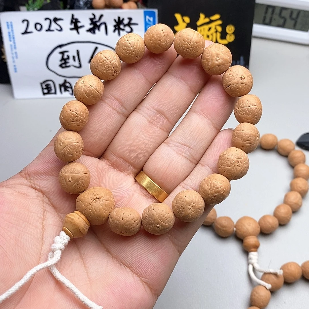 凤眼菩提吊坠14尺寸龙眼