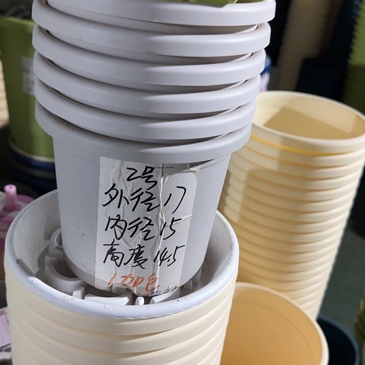 微瑕2#口径17无托灰白6个