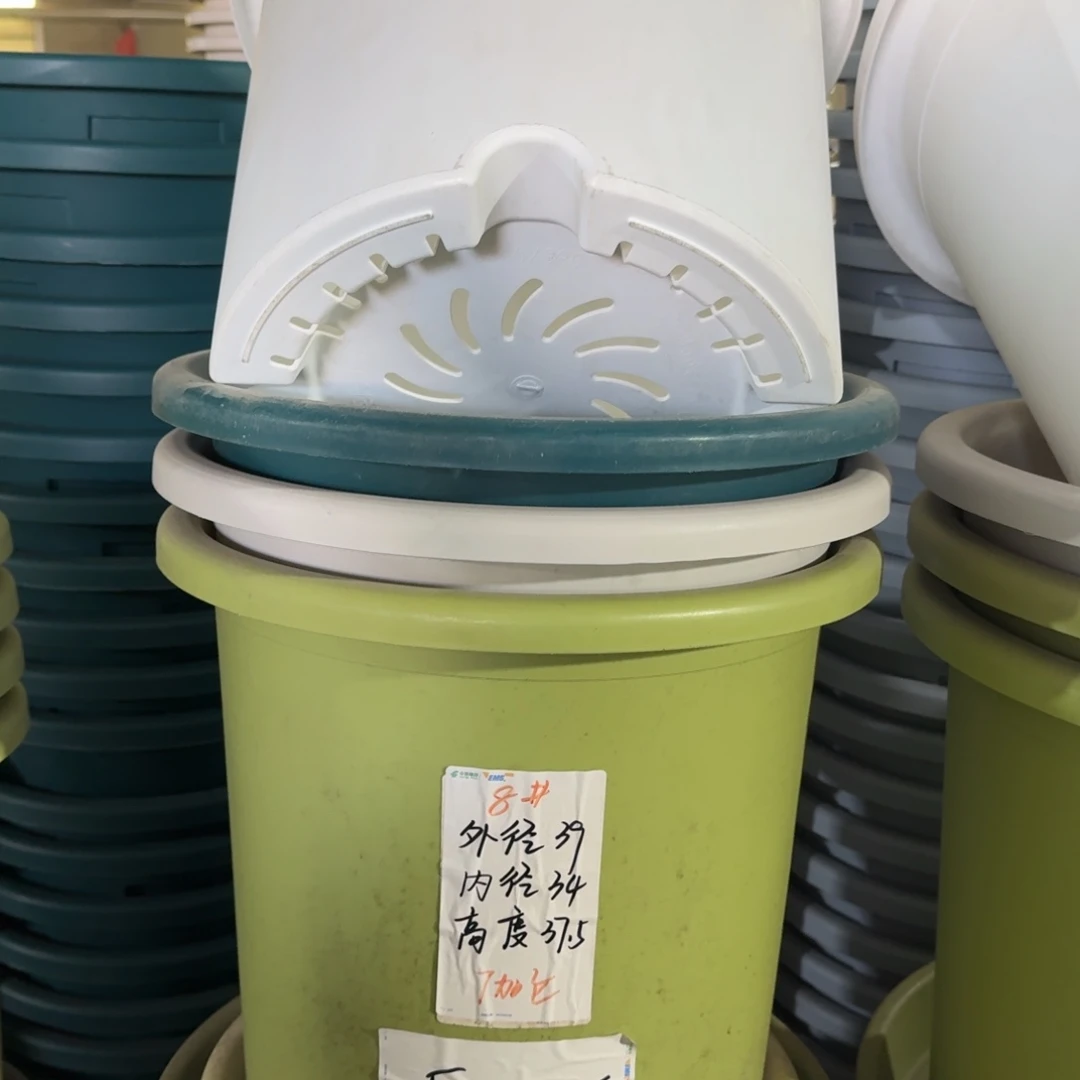 四季8#口径39无拖纯白3个