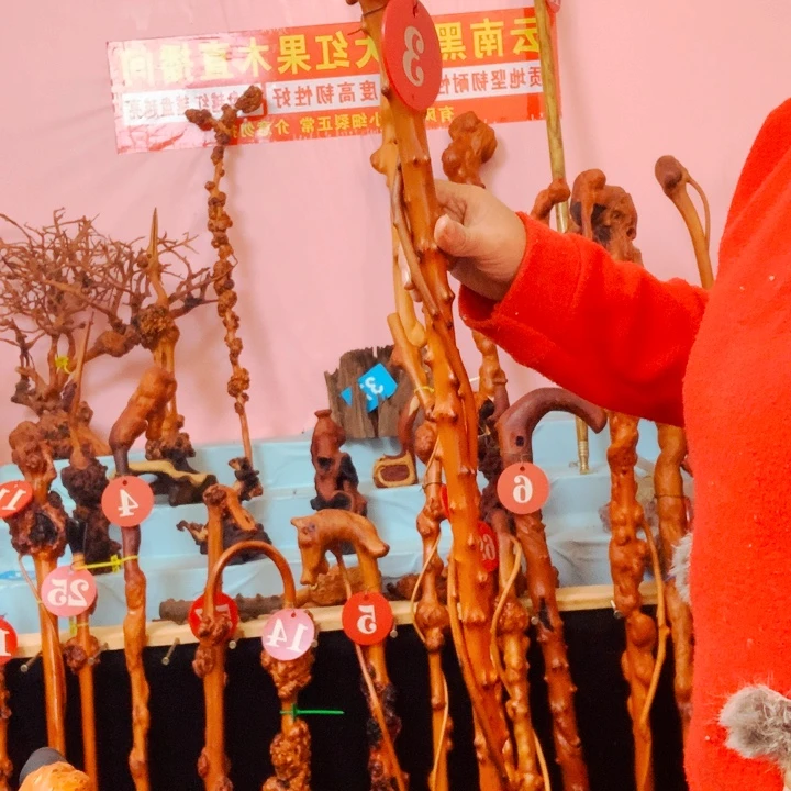 结***缘大叶紫檀（黑酸枝木类）