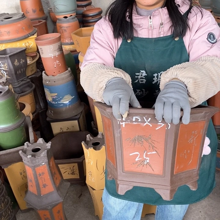 紫砂花盆盆栽花卉苗木种植