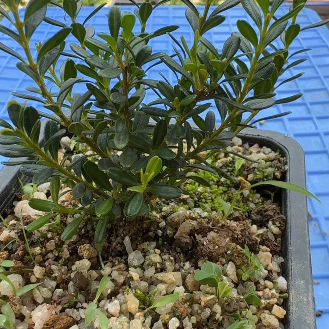 不****漏c g g g h h