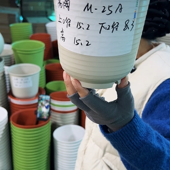 正品高陶口15高15米色带托8只
