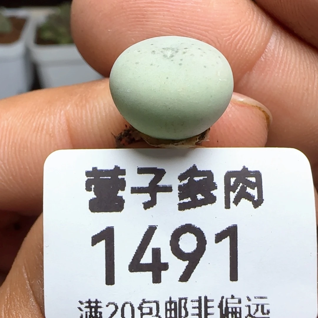 爱心小拳拳。        福利