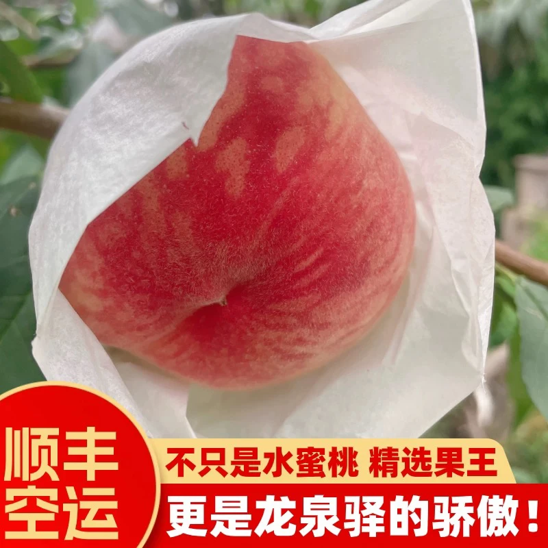 四川正宗龙泉驿水蜜桃水果软脆毛桃子当应季孕妇顺丰空运端午礼盒