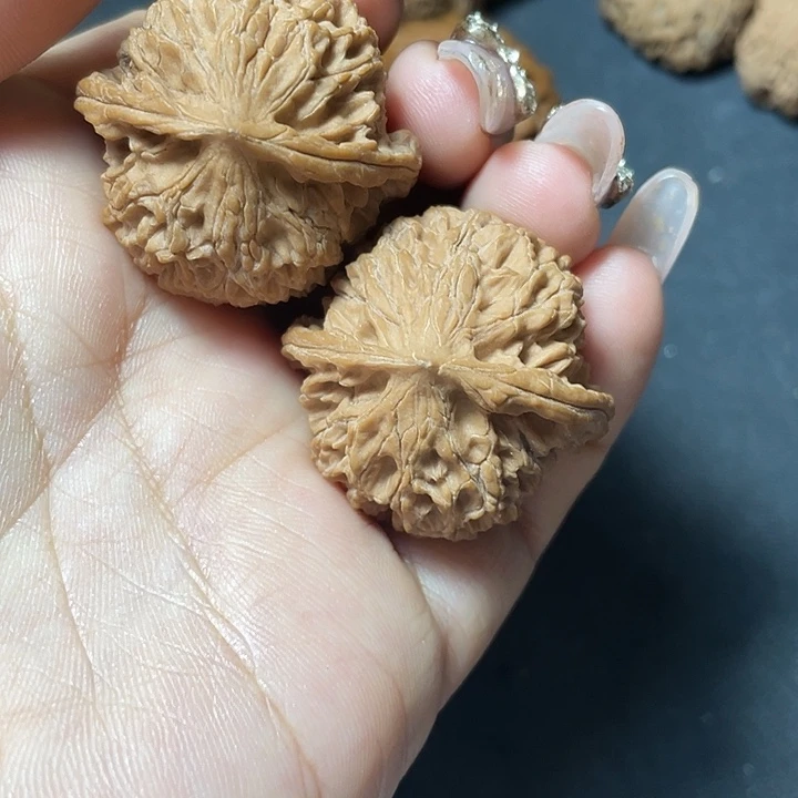 野生麻墩34尺