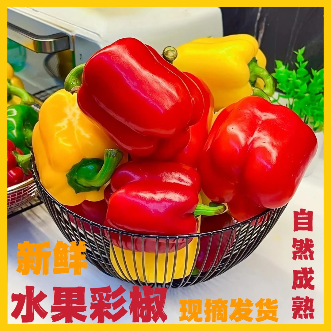 水果彩椒1斤/3斤现摘现发新鲜蔬菜五彩辣椒生吃不辣饱腹低卡健身