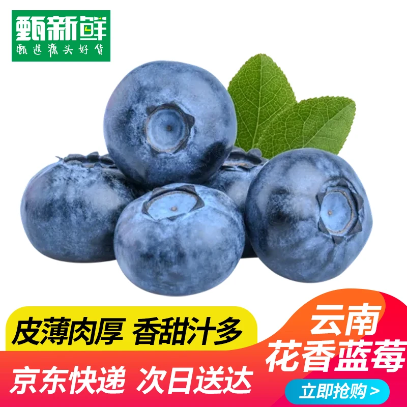 【京东次日达】云南花香蓝莓450g/15-20mm今天下单明天送到新鲜云南省