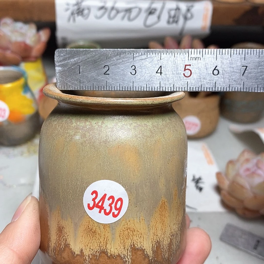 红陶拍5送一个小