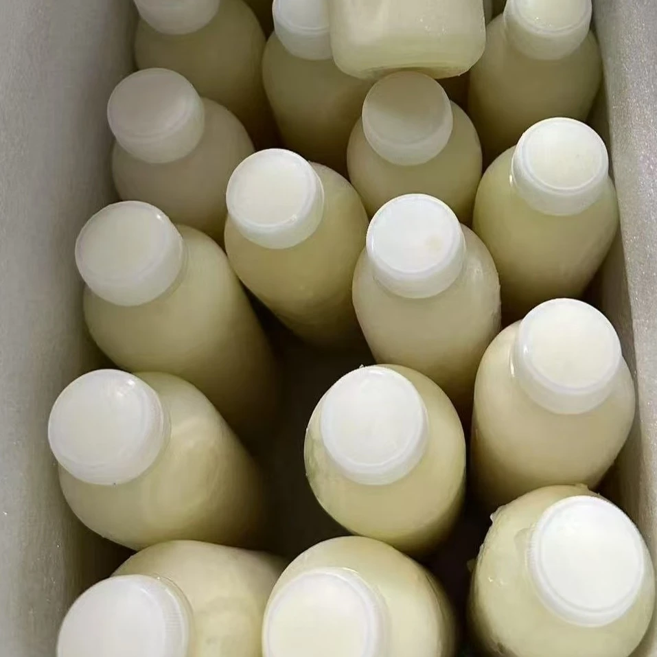 好吸收鲜羊奶早餐营养之选