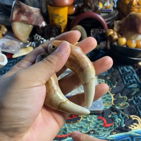 瓷片寻呼台的人也太少见啦