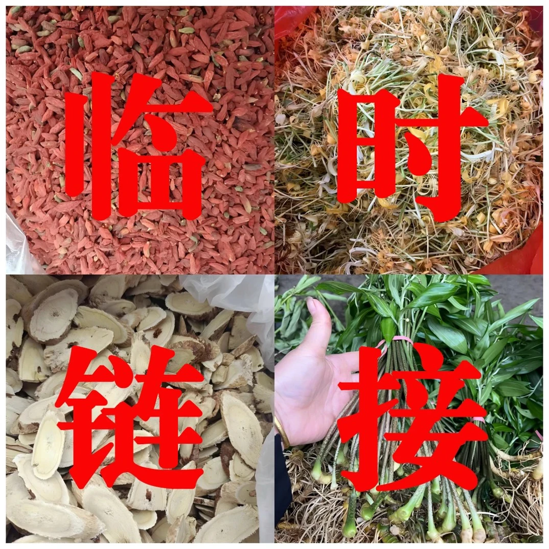 贵州花花草草植物