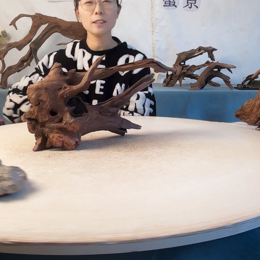 沉木造景爬宠造景