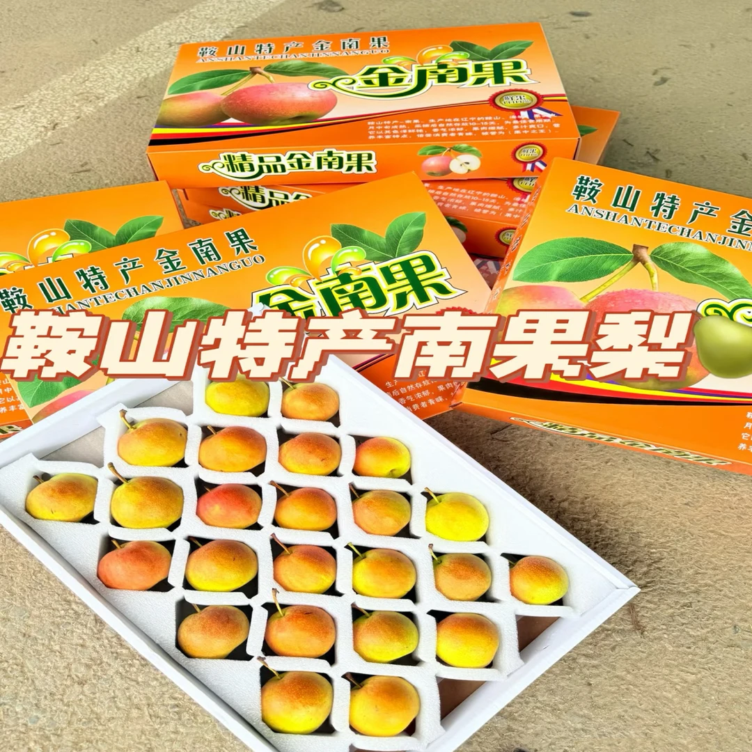 正宗鞍山特产南果梨精品礼盒装皮薄多汁脆甜适合送礼
