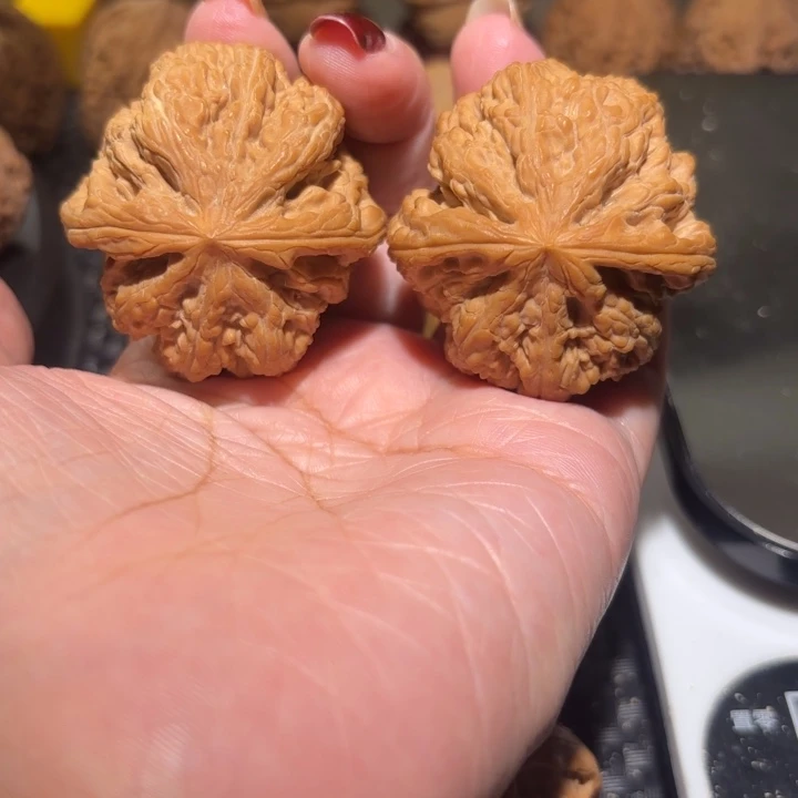 把件文玩核桃40大粗筋