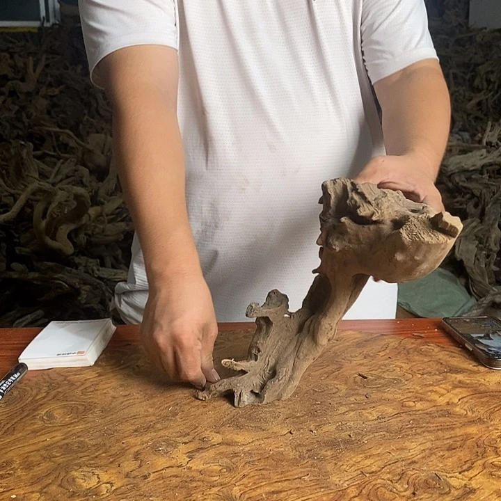 木00040号杜鹃根雕原木鱼缸摆件装饰