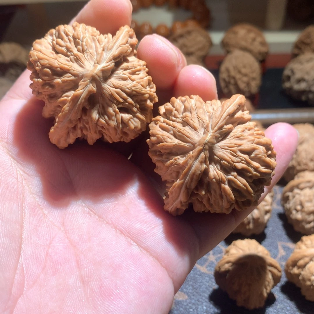 英*威全品无修 老树四座楼