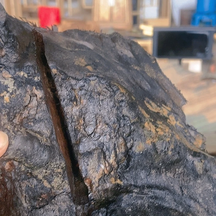 楠木（金丝楠）其他