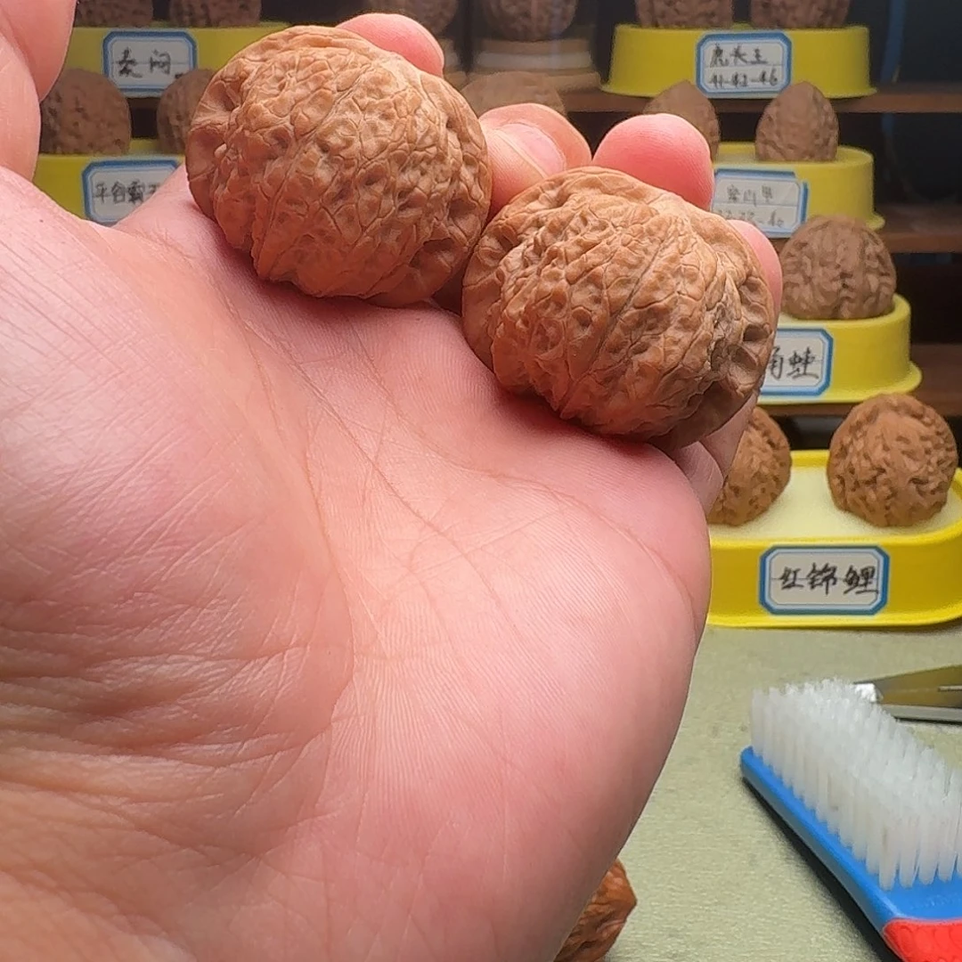 把件文玩核桃血麒麟40全品头货