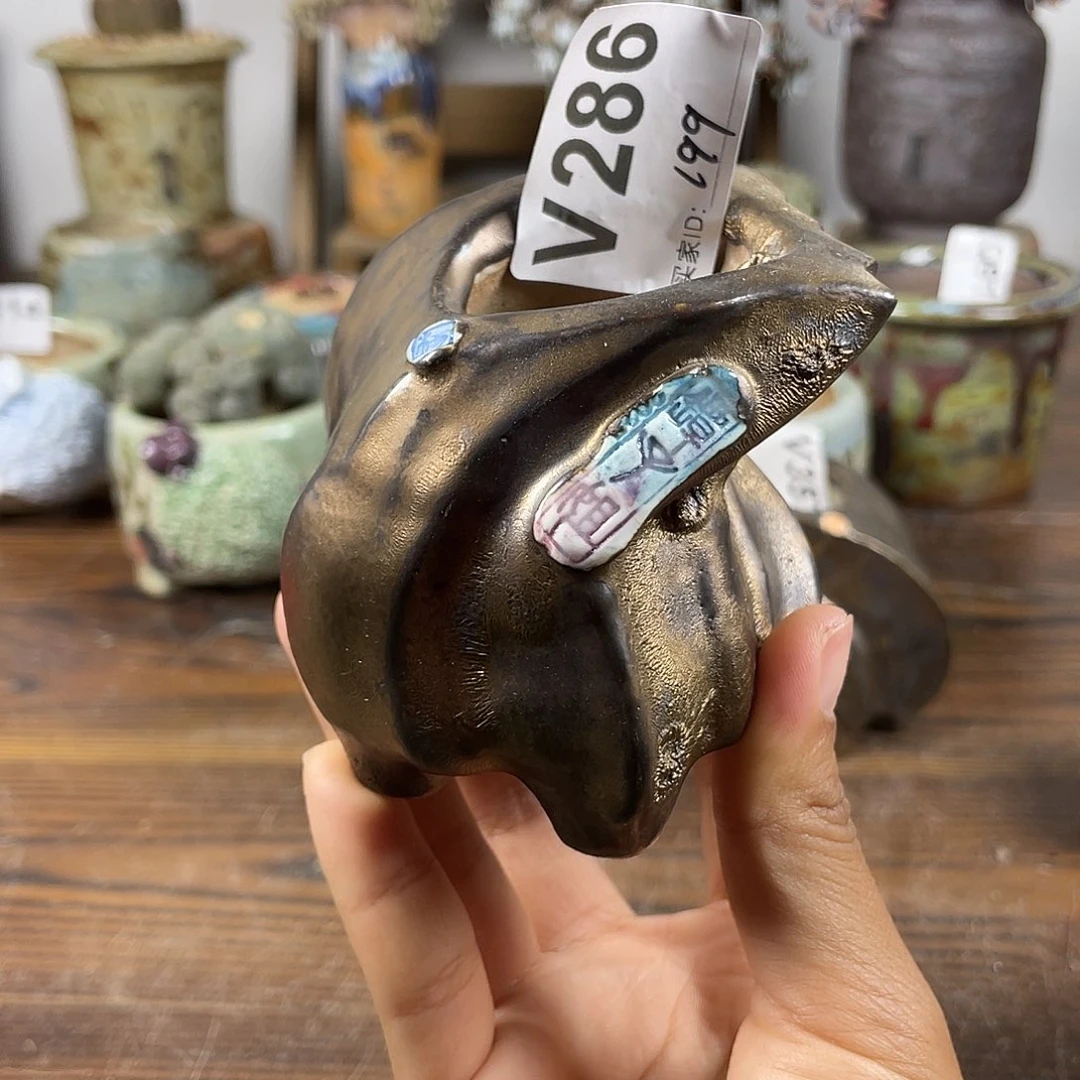 坛子姐花盆 老杨孤品 内口4*3.5