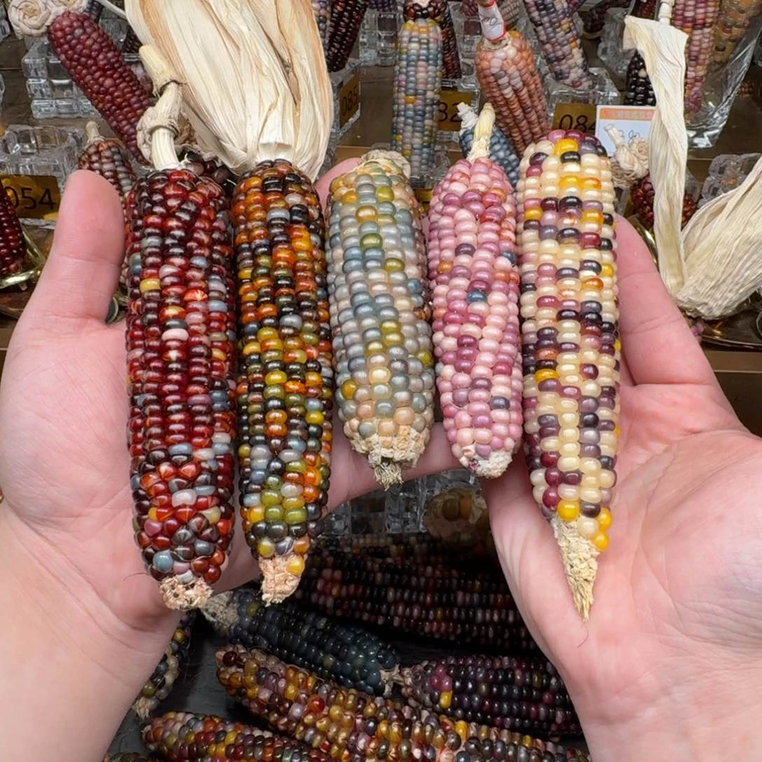 柏香籽/百香籽吊坠一***?