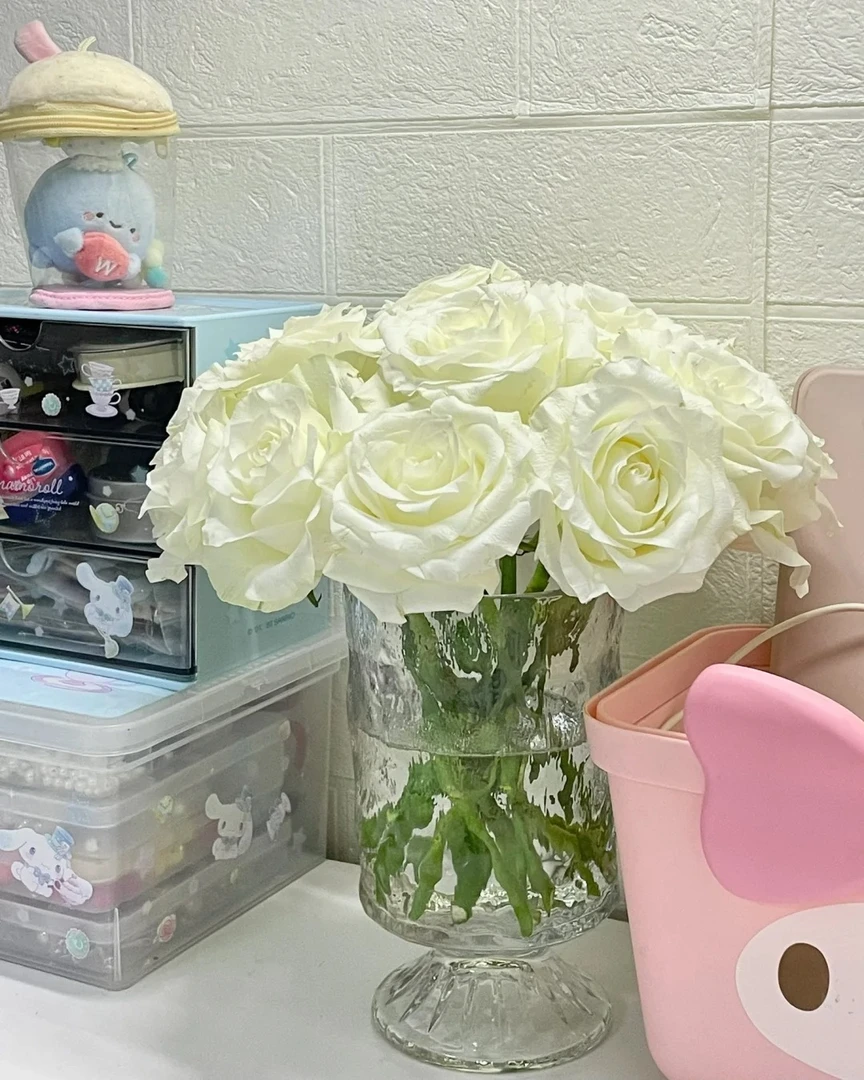 【骄傲玫瑰】 云南鲜花 昆明鲜花源头基地直发