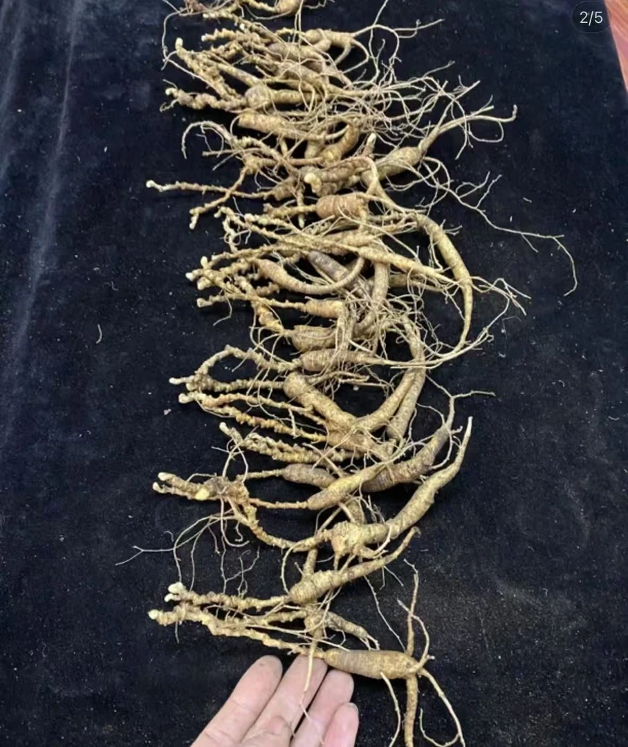 长白山新鲜林下参泡酒煲汤精品食补直播间专用改价链接