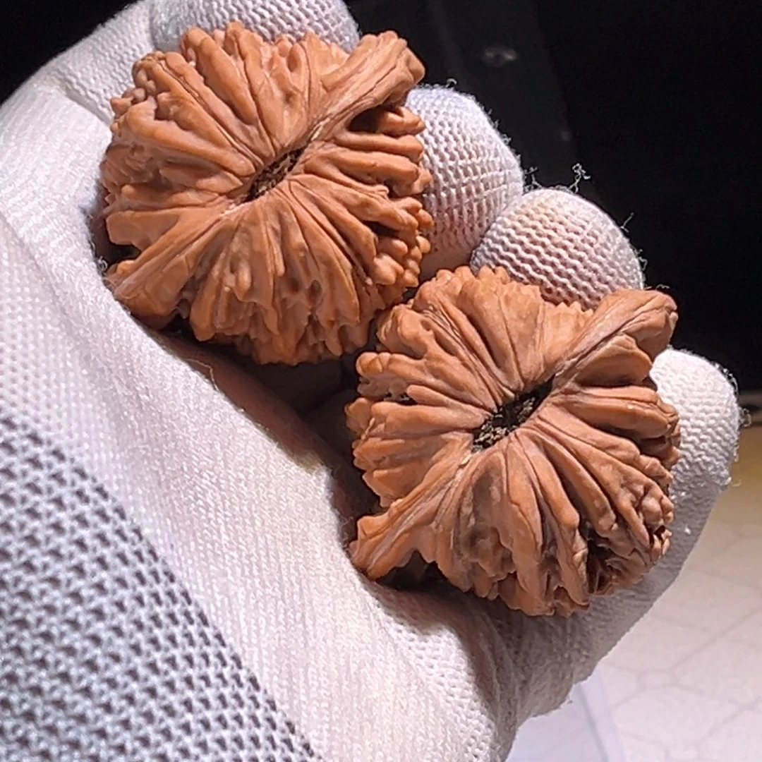 洪***熙全品。44全楼子。 全品。