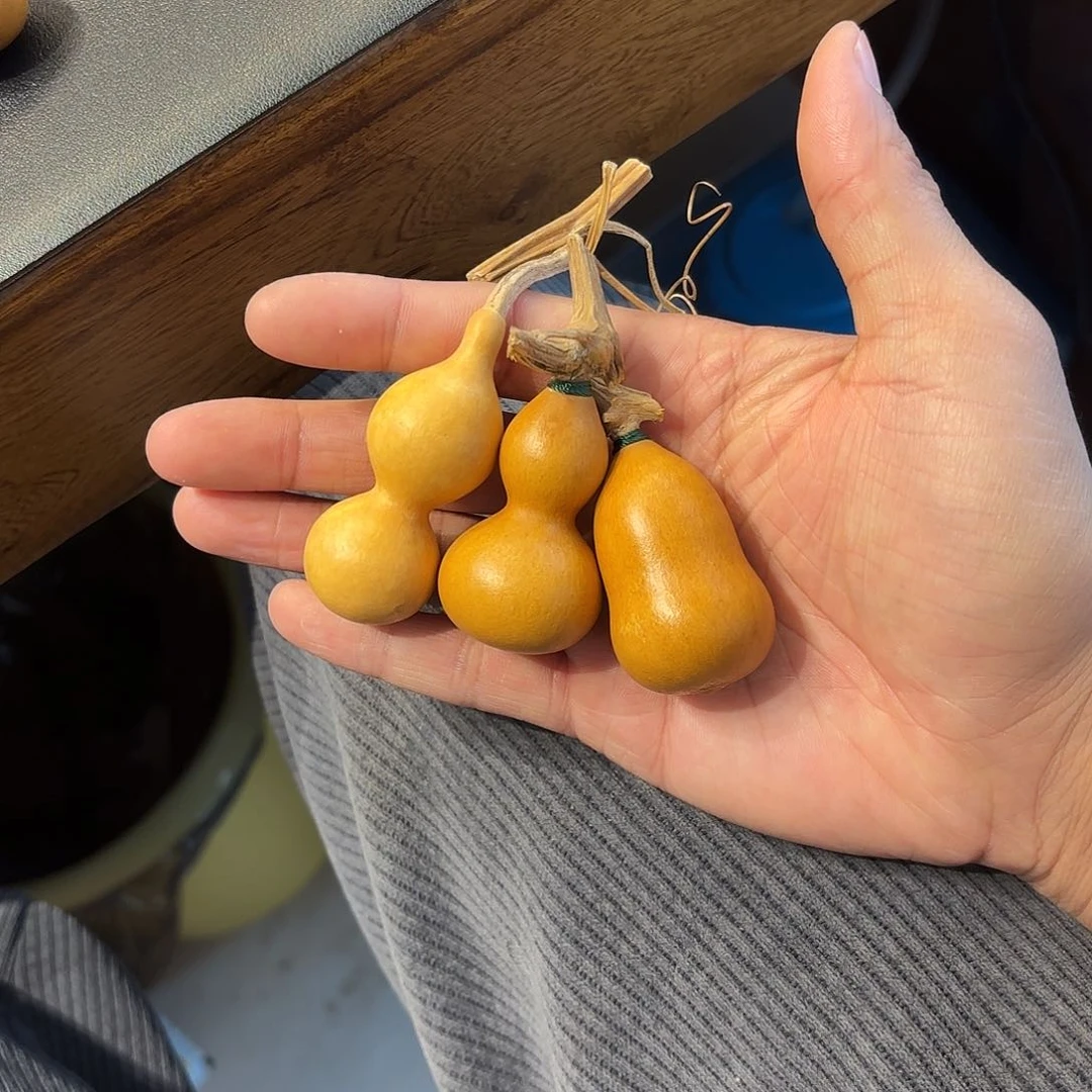 ?***開葫芦111111111111