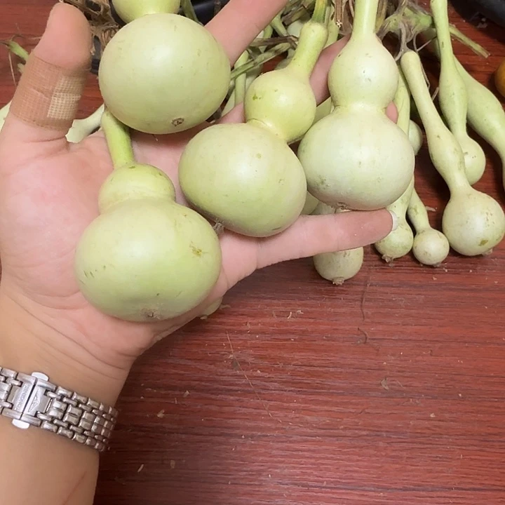 博***勃fhjhbvcfhjjnbvvhhjkmm