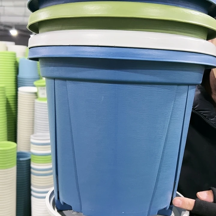 正品青山口32高28灰白色5个带托