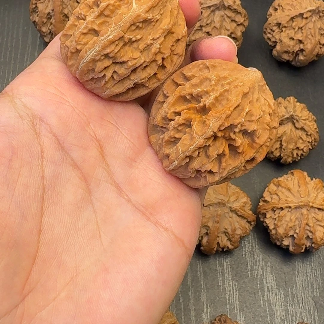 核桃突突突突突突突突