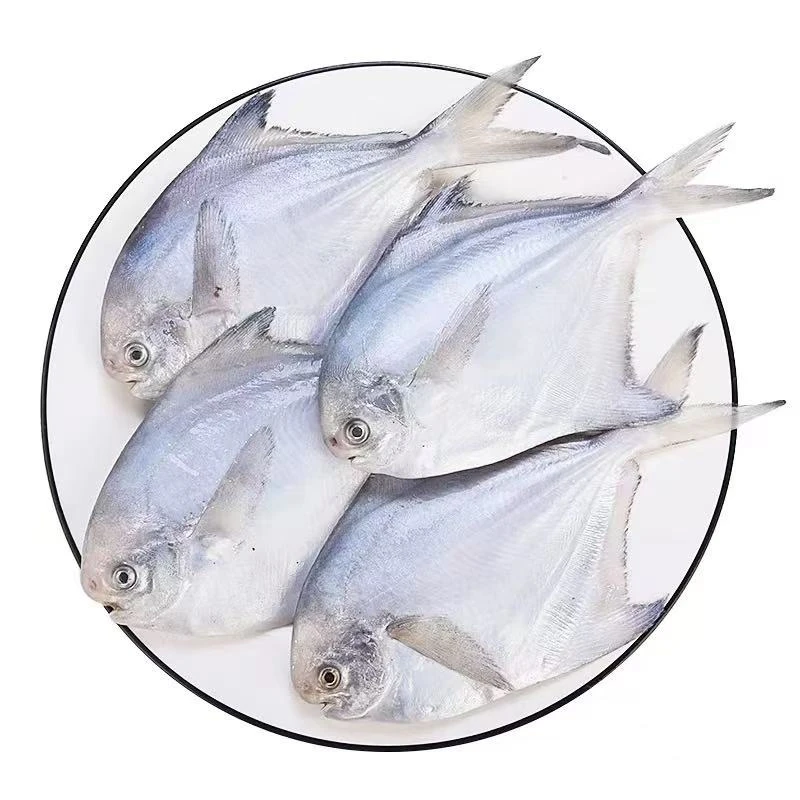 白鲳鱼现称鱼虾蟹以直播间称重商品为准 包鲜/不包活