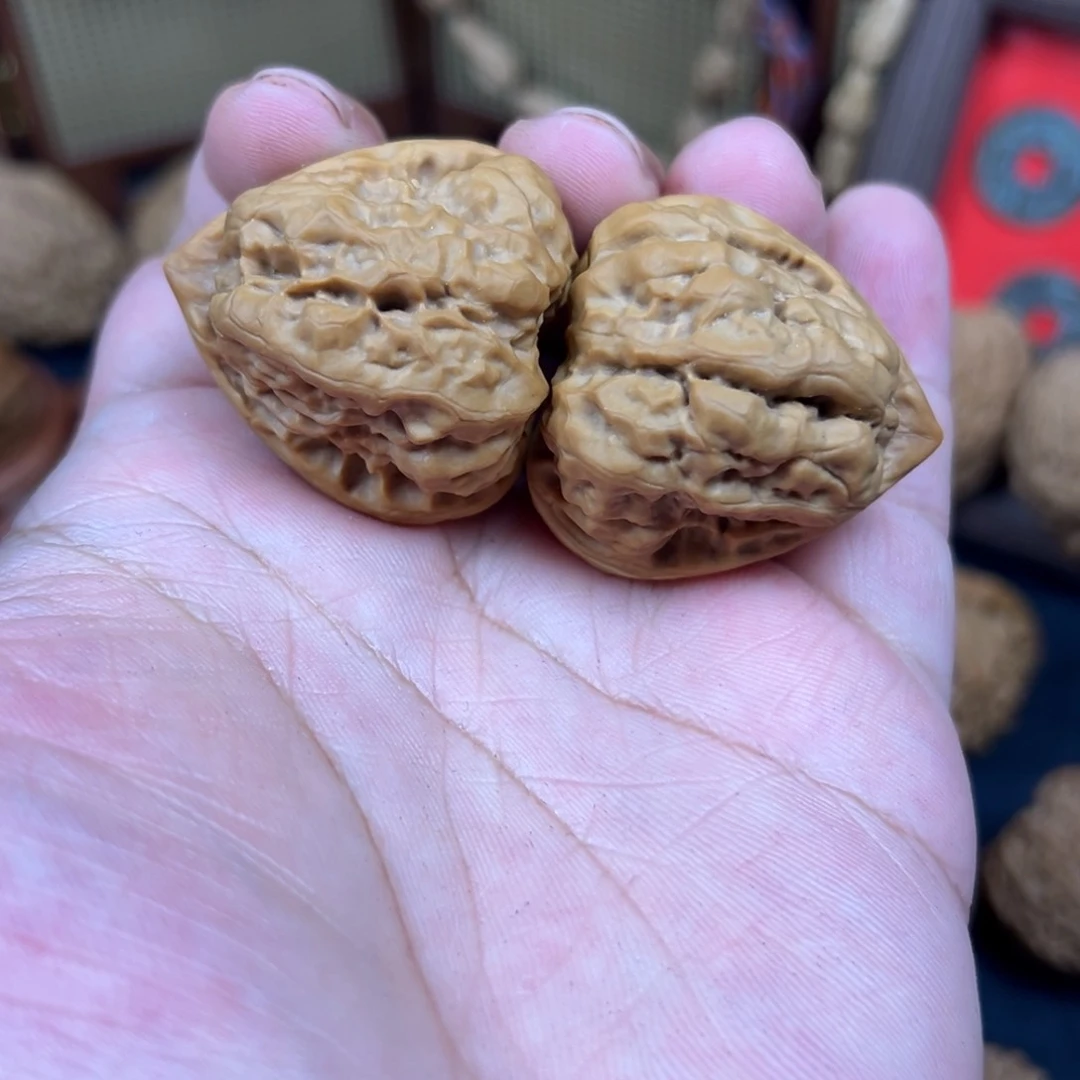 其他核桃边36肚38尺三角箭毒蛙