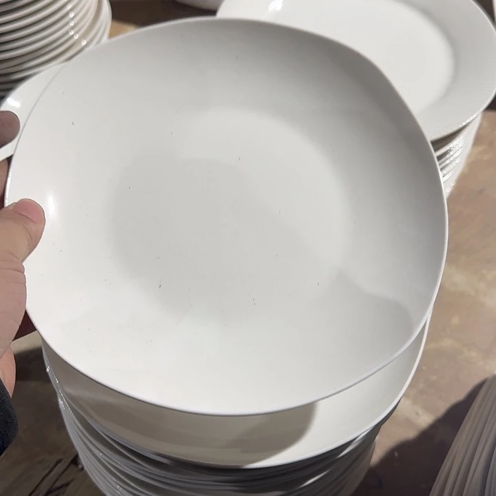 瓷8 英寸 不规则圆盘  4 个