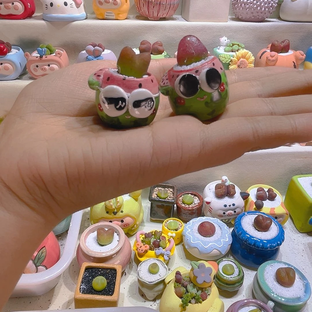 耶**?耶宝专属迷你小西瓜