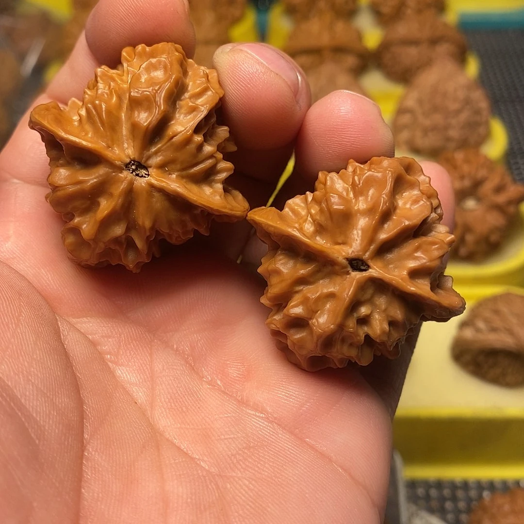 文玩核桃把件38尺白蛇骨