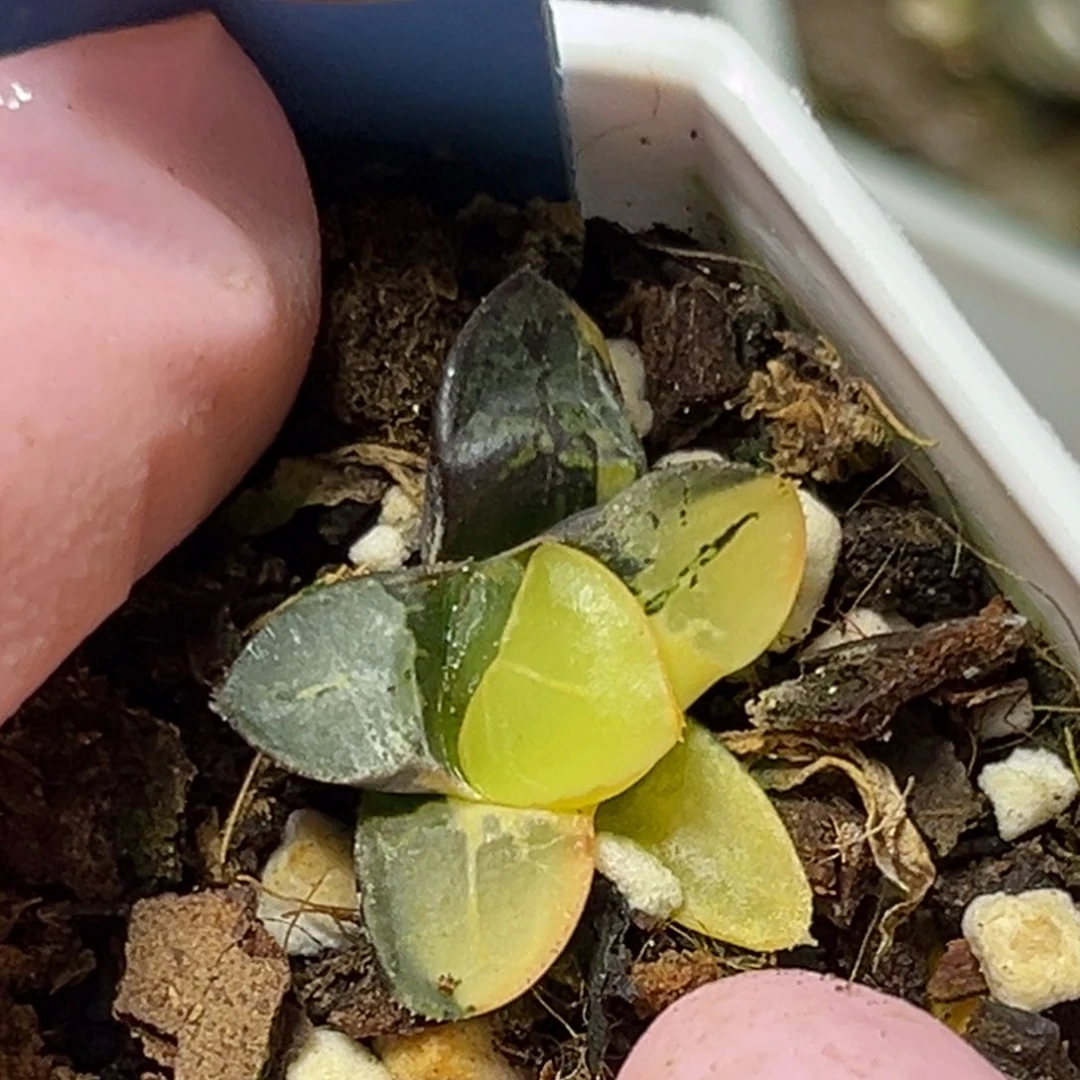 恭喜发财大吉大利0302