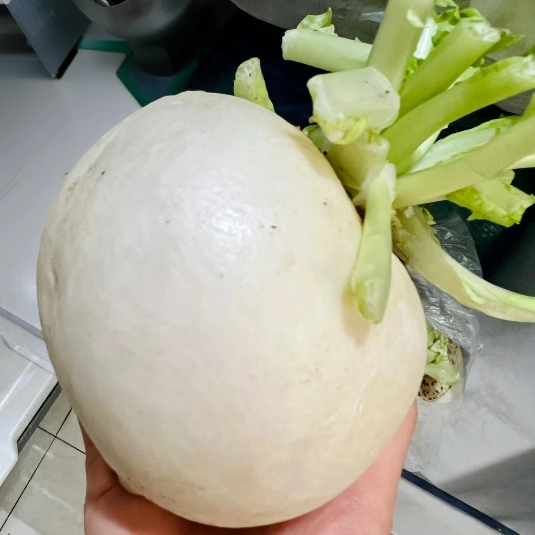 （香彬农品阁）农家自种的新鲜圆白萝卜清甜多汁脆嫩化渣