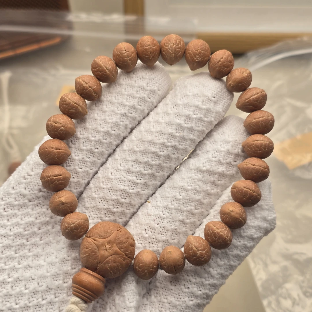 尼泊尔实心凤眼菩提-Tm飞碟实心系列-尺寸10.0-10.2-货号t1