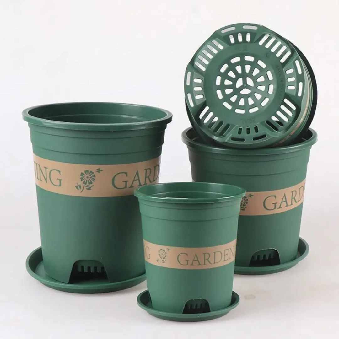 长寿花盆栽专用盆一件