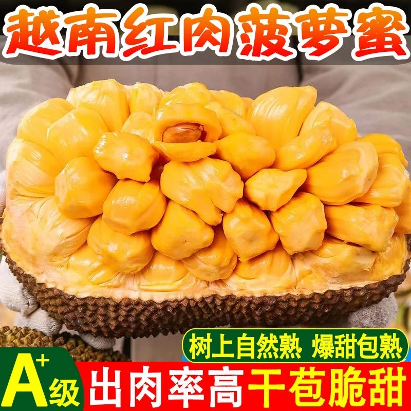 【小丸子直选】正宗越南红肉菠萝蜜一整个当季新鲜水果红心菠萝蜜