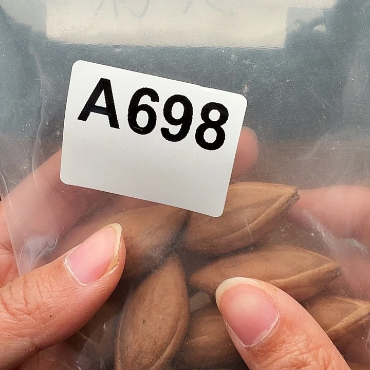 浅***风手串/手链橄榄核橄榄