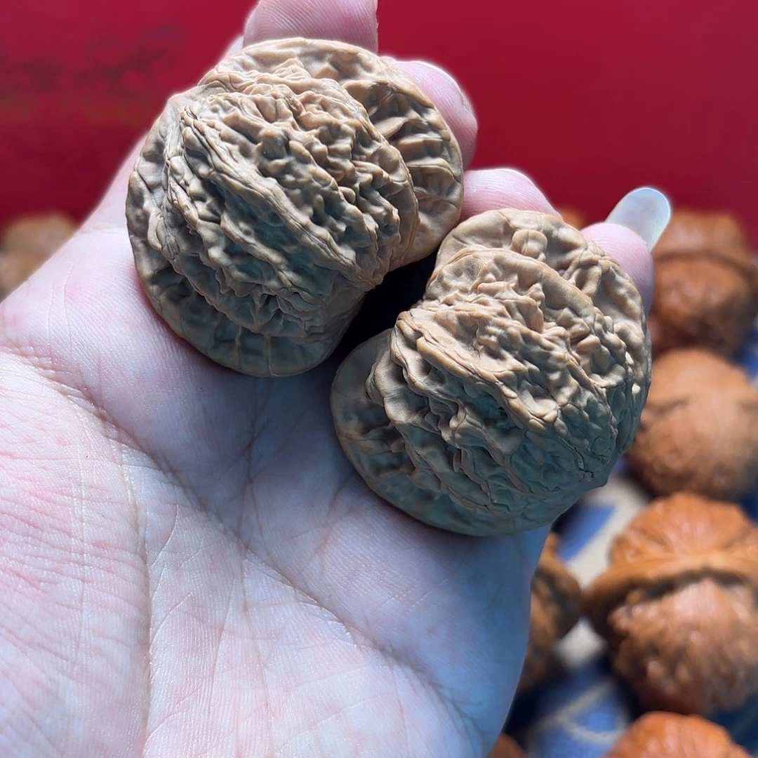 核桃08号。狮虎兽 福利