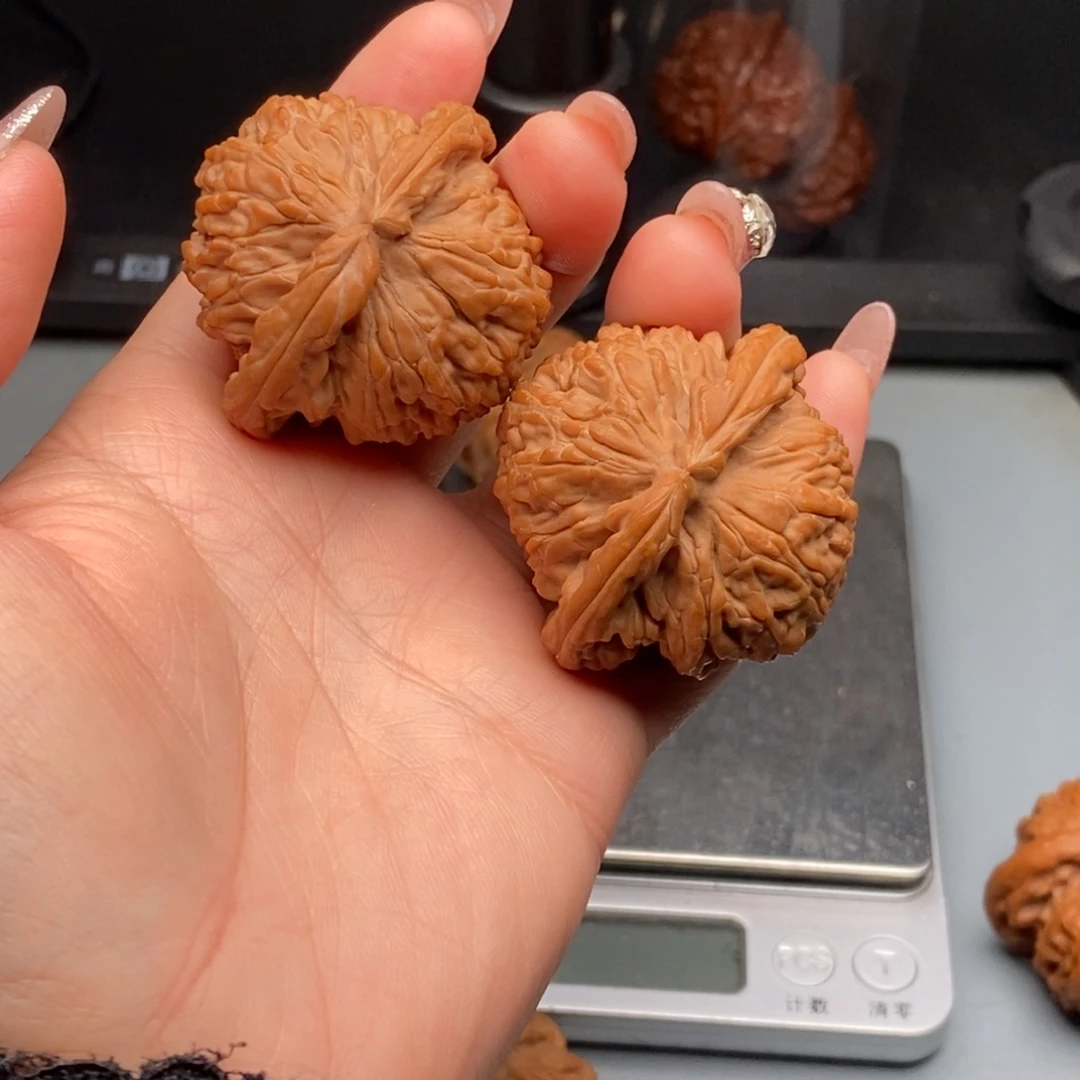 把件文玩核桃42白狮子