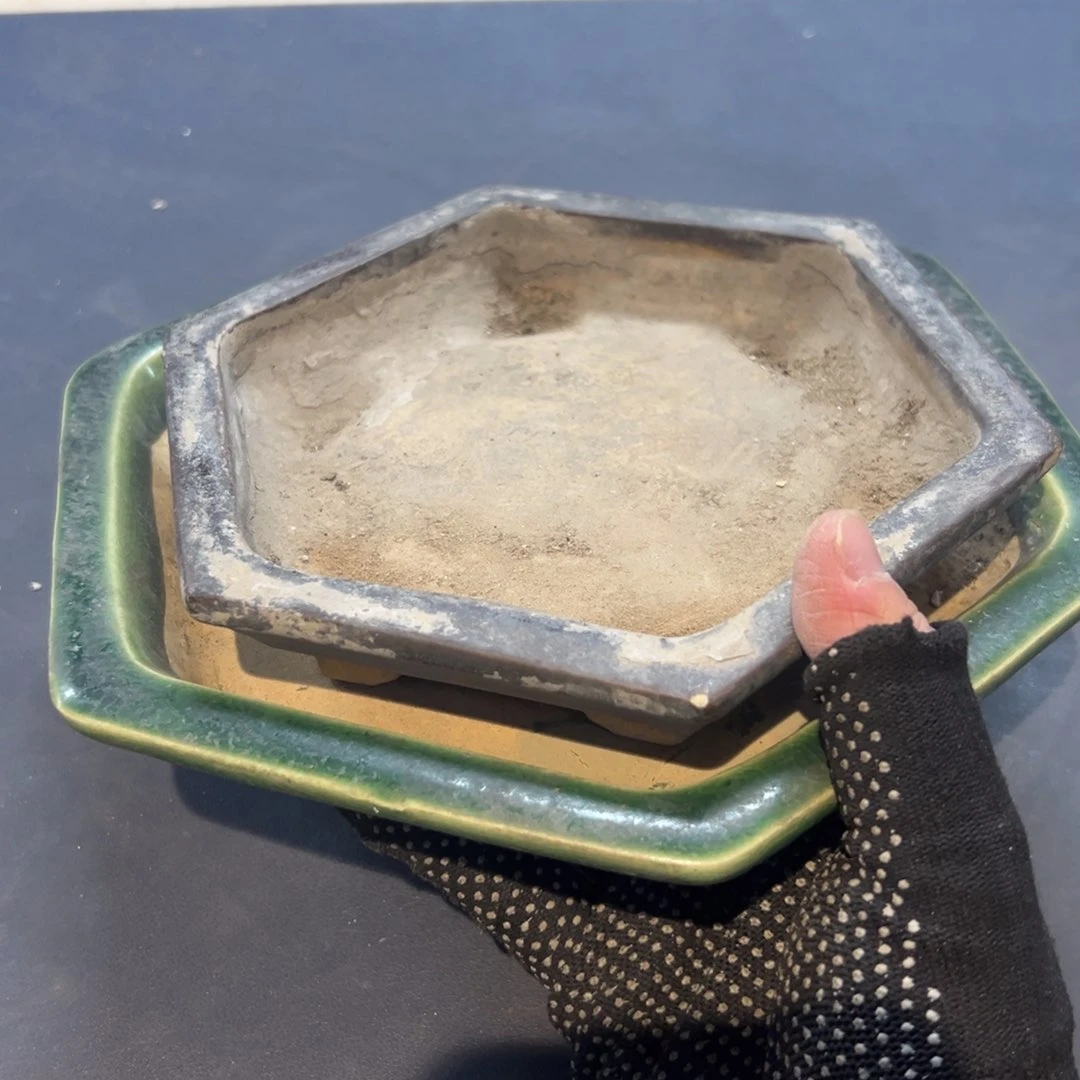 瓷片爱**昂拾六家的瓷器瓷器