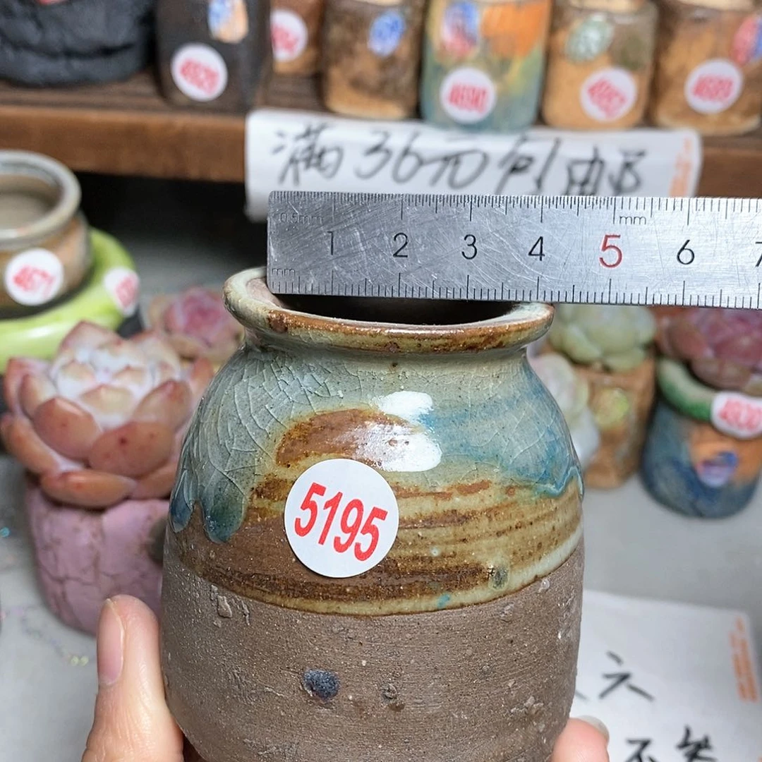 红陶拍5送一个小