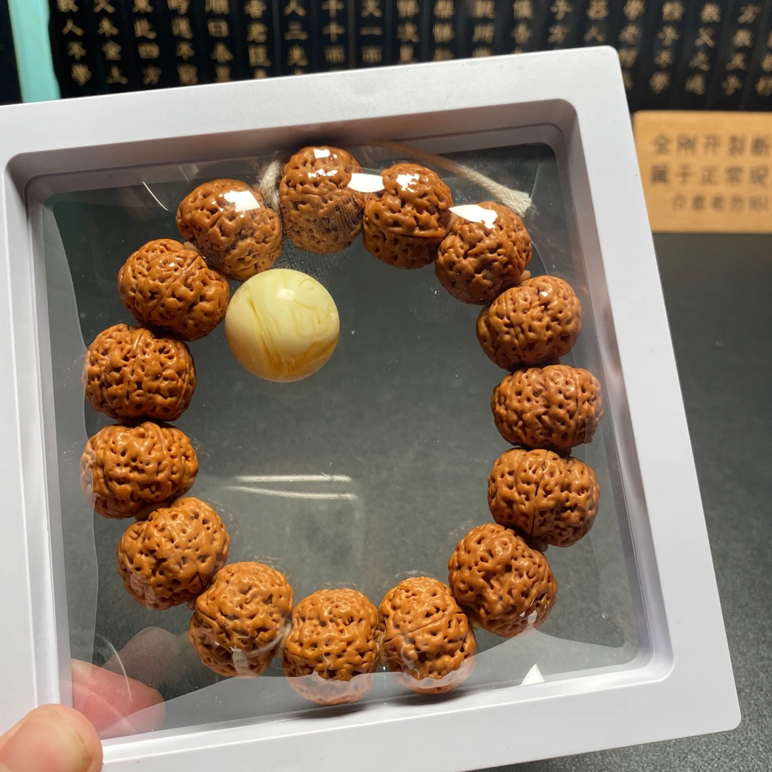 新品金刚菩提蜂王菠萝蜜17号